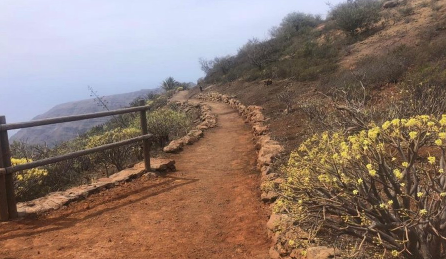 Sendero en la isla de La Gomera que ya se puede transitar de nuevo tras la rebaja del riesgo de incendio en la isla