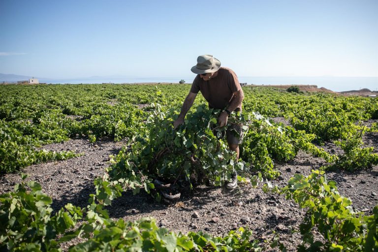 Los agricultores reivindican el consumo de productos locales