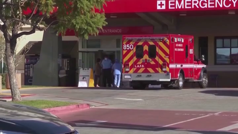 El 42 % de la población de Estados Unidos ya está vacunada contra la COVID-19