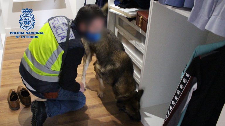 Detenido por acosar en redes sociales a siete jóvenes, una menor de edad