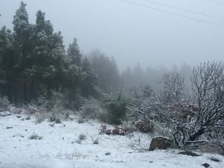 El buen tiempo deja ver el Teide completamente nevado