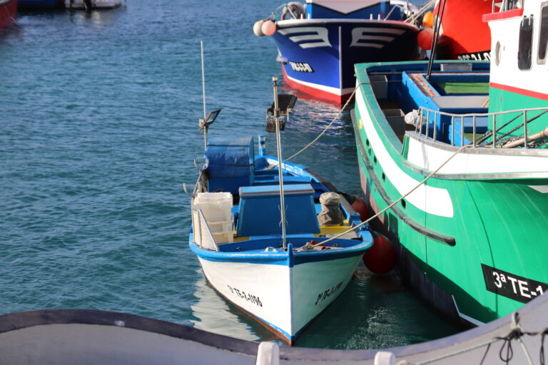 Las cofradías canarias reciben casi 700.000 euros en ayudas del Ejecutivo regional