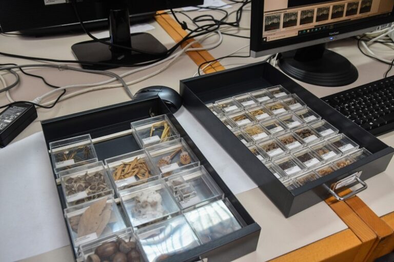 El laboratorio de arqueología de ULPGC tiene nueva sede y equipamiento