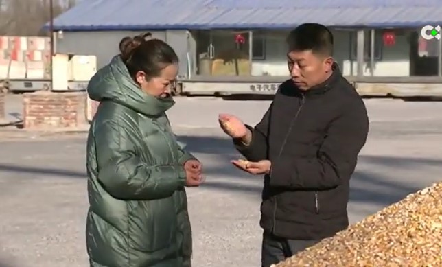 El acopio de cereales de China provoca incrementos en el precio del gofio