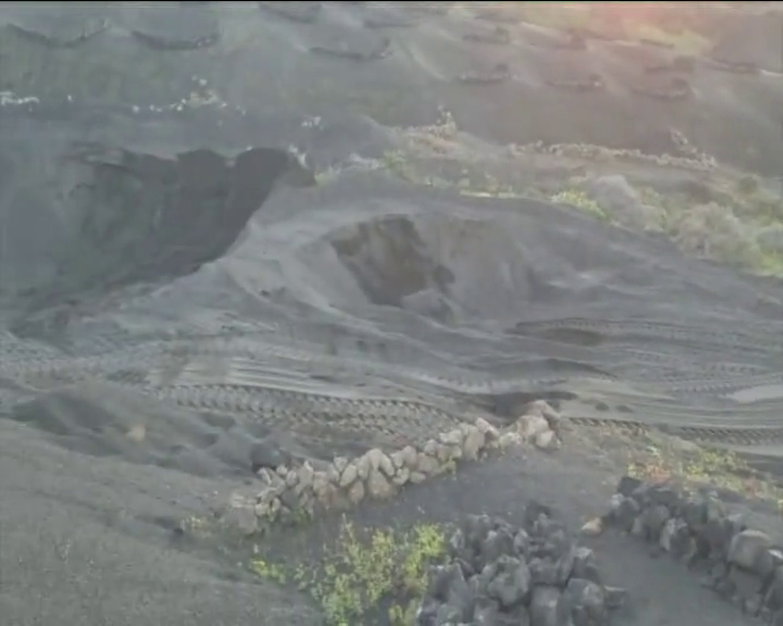 Reclaman mayor vigilancia medioambiental en Lanzarote