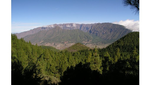 La Reserva de la Biosfera alerta de la proliferación de especies invasoras