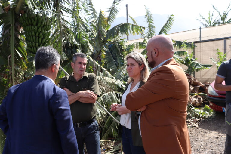Agricultura aumenta en 571.000€ las ayudas por daños en el temporal de 2020