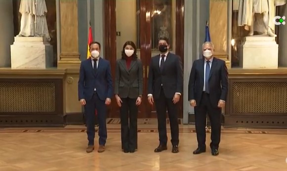 Los Cabildos de las islas occidentales alertan al senado de la vulnerabilidad económica de Canarias