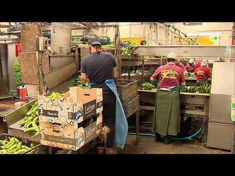 Andalucía y Canarias se llevan un tercio de los 7.000 millones en ayudas directas