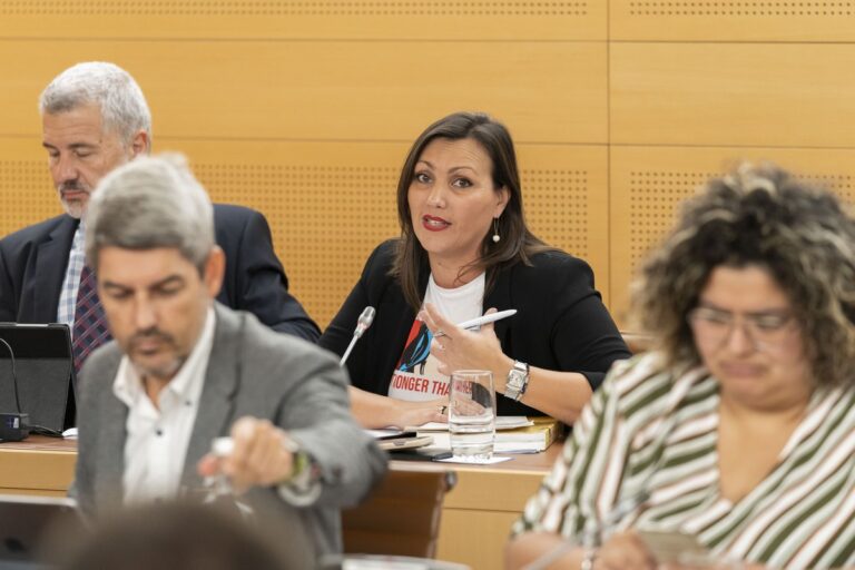 CC propone siete medidas específicas para reactivar el turismo en Tenerife