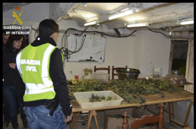 Intervienen más de cuatro toneladas de marihuana en Teruel
