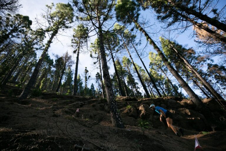 La Artenara Trail abre sus inscripciones para una prueba que vuelve a su fecha tradicional