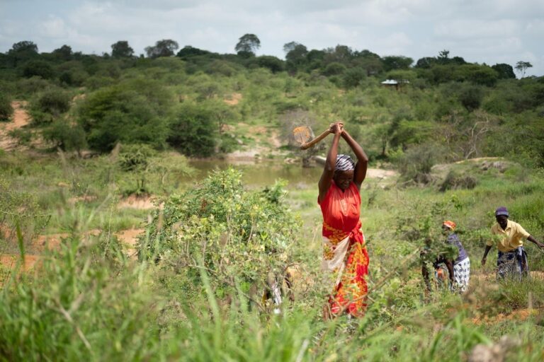 El cambio climático amenaza con llevar a millones de personas al límite de la supervivencia