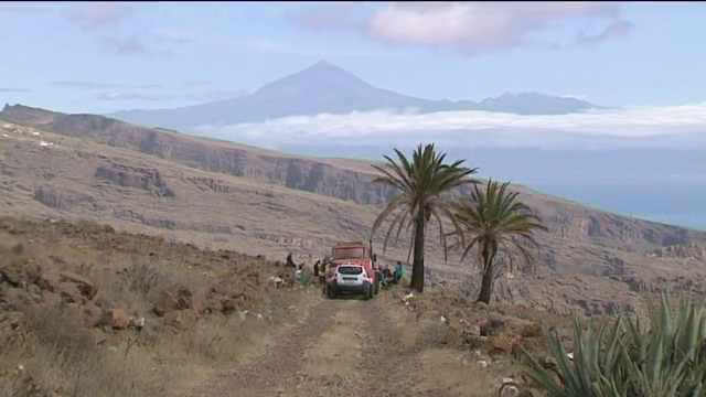 El proyecto PLANTA-TE consigue recuperar 18.000 ejemplares de almácigos, acebuches y sabinas en La Gomera