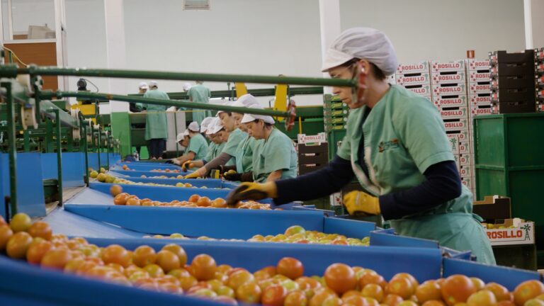 La mayoría de los españoles cree que se ha avanzado en igualdad, aunque persisten desigualdades