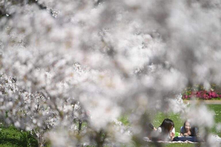 La OMS ve «necesarias» las nuevas restricciones en Europa