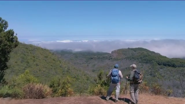 El Centro de visitantes del Garajonay en obras para ofrecer a sus visitantes una experiencia más interactiva