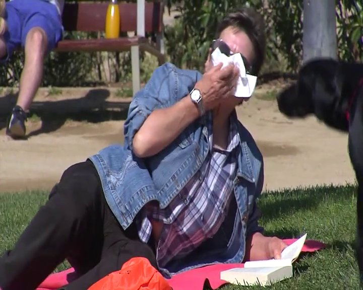 Según los expertos Canarias es la región con los niveles más bajos de alergia al polen