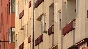 Aprobada por unanimidad la revisión de la prestación canaria de inserción