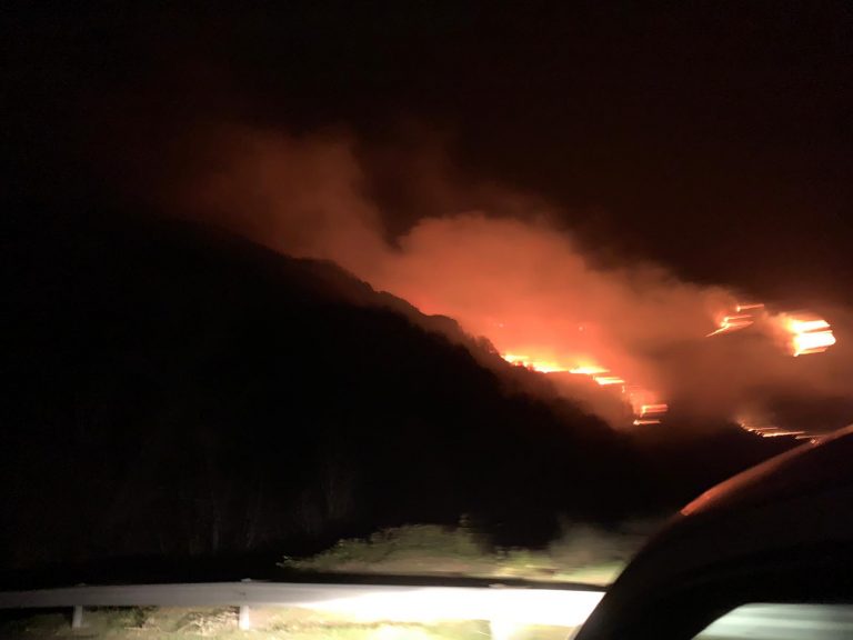 Cuatro incendios en Galicia calcinan cerca de 500 hectáreas