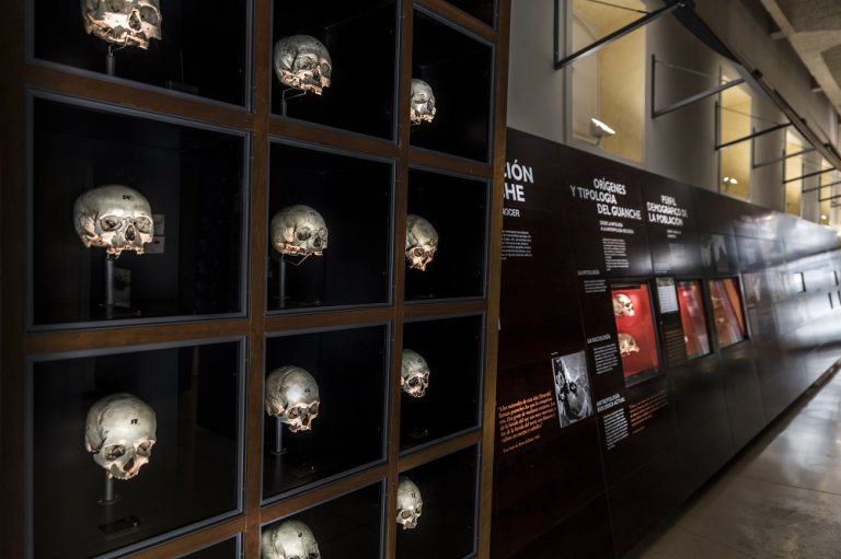 El MUNA expone un grabado rupestre del Sahara Occidental