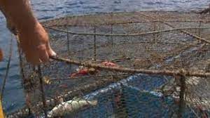 Desarticulan una banda de pescadores furtivos que operaba en Lanzarote