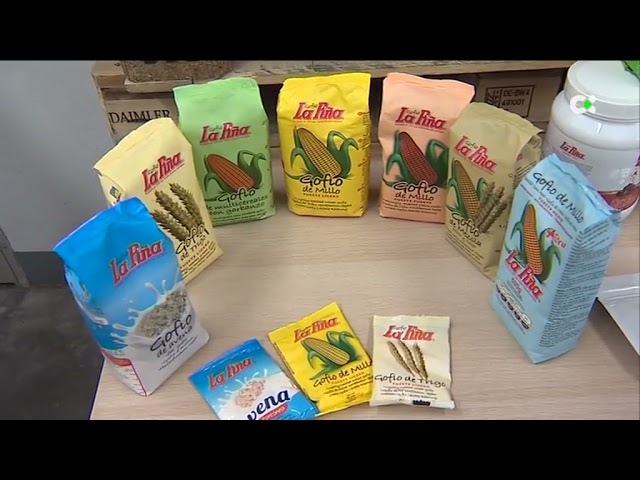 El Cabildo grancanario enviará 1.200 toneladas de gofio a los campamentos saharauis