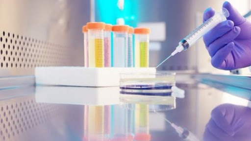 La Agencia del Medicamento ve improbable la inmunización anual