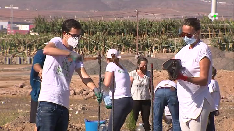 La asociación Barrios Verdes reforesta las zonas abandonadas de Telde