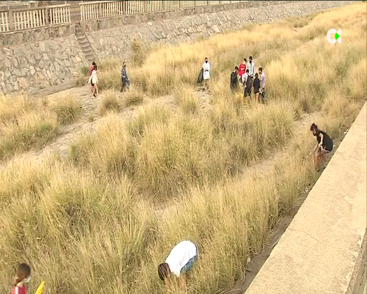 Jóvenes canarios crean un proyecto que aúna deporte y medioambiente
