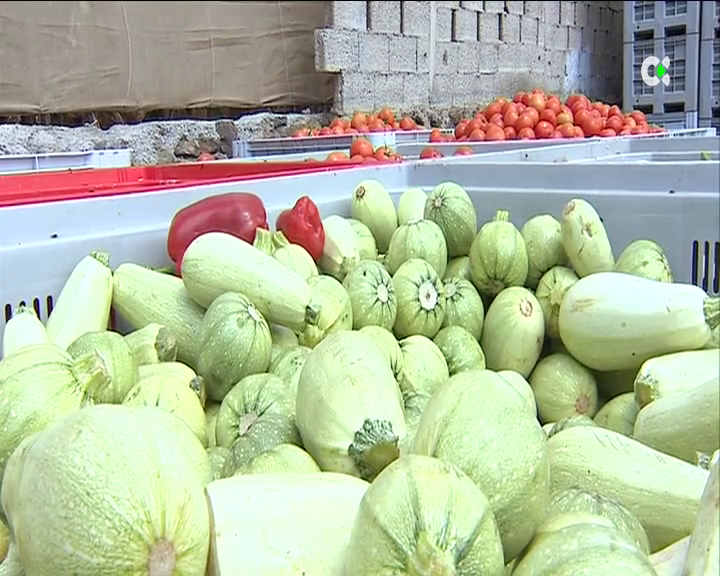 Tenerife tira al mes más de 150 toneladas de frutas y verduras