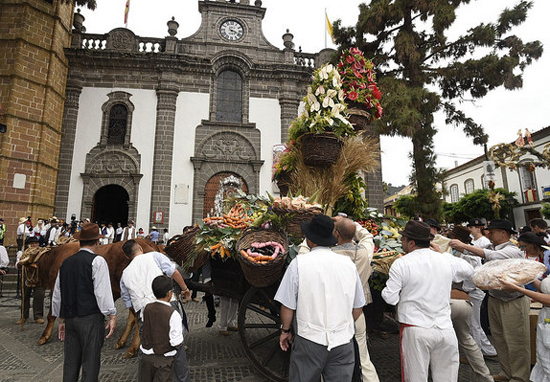 Teror se prepara para su 73ª Romería-Ofrenda del Pino