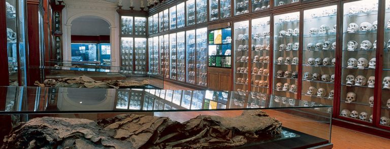 El Gobierno canario aporta 250.000 euros a la Red de Museos del archipiélago