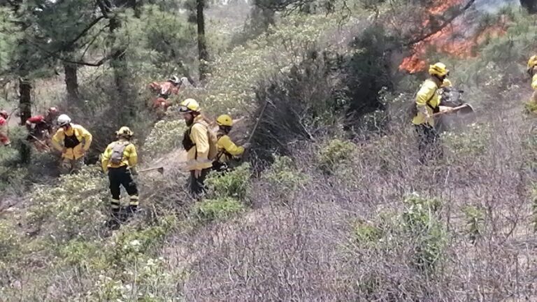 El incendio de Arico ya está estabilizado