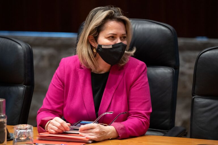 Canarias presentará alegaciones al decreto de pesca recreativa