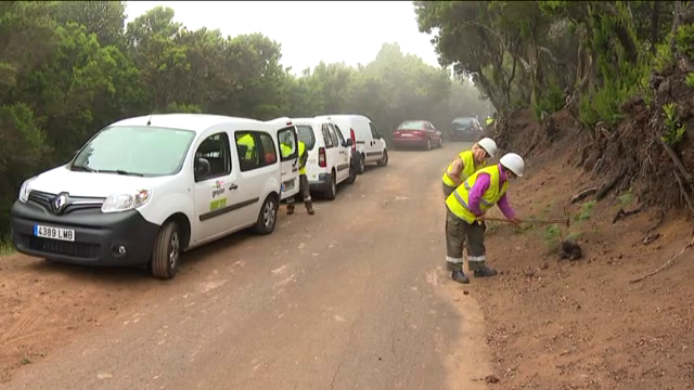 La Gomera centrada en minimizar los riesgos de propagación de incendios en núcleos de población