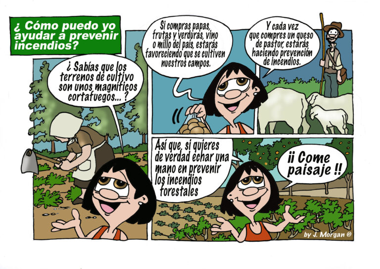El Cabildo de Gran Canaria llama a la ciudadanía a adoptar medidas para prevenir incendios