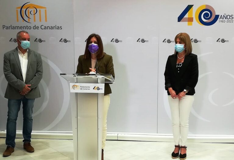 Nueva Canarias propone defender públicamente el español de Canarias