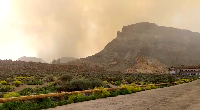 El incendio de Arico avanza y ya afecta a unas 1.500 hectáreas