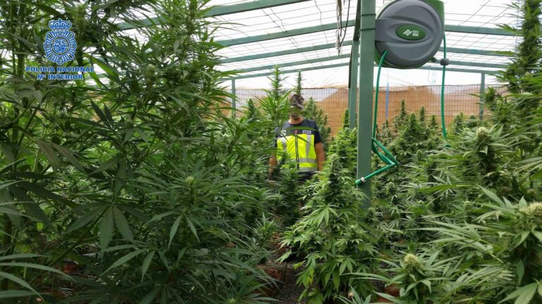 Los acusados por el caso Acmefuer reconocen los hechos al inicio del juicio