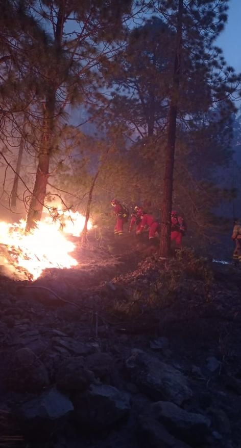 El incendio de Arico afecta, hasta la tarde de este sábado, a 3.300 hectáreas