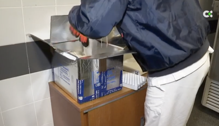 El Gobierno de Canarias prevé la llegada de más de 426 mil dosis de vacunas este mes