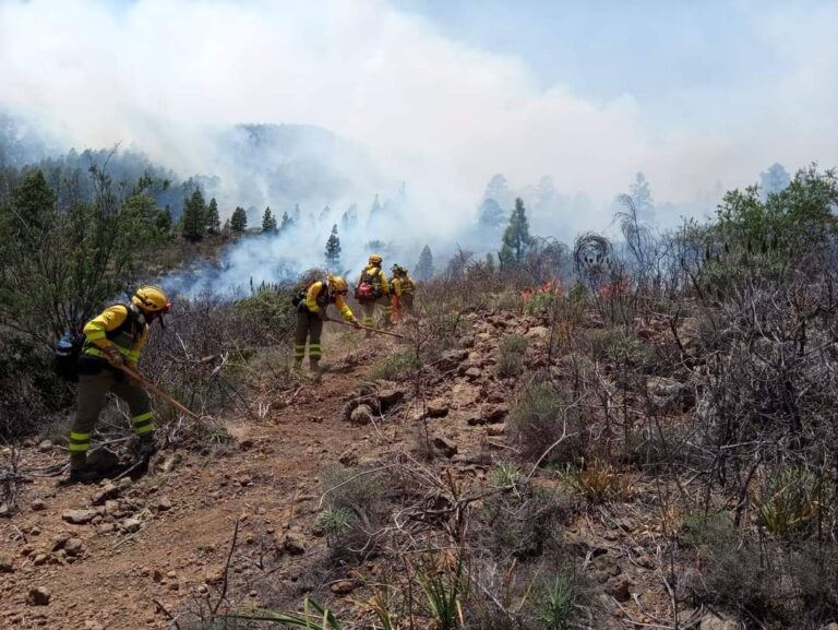 El incendio forestal de Arico pasa a nivel 2 tras alcanzar unas 400 hectáreas