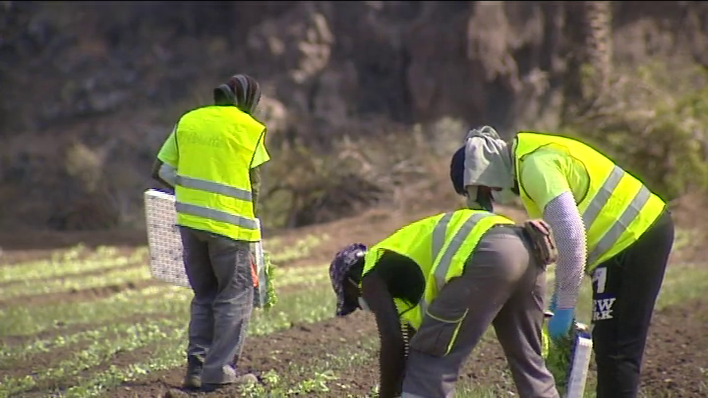 El Gobierno aprueba la subida del Salario Mínimo Interprofesional