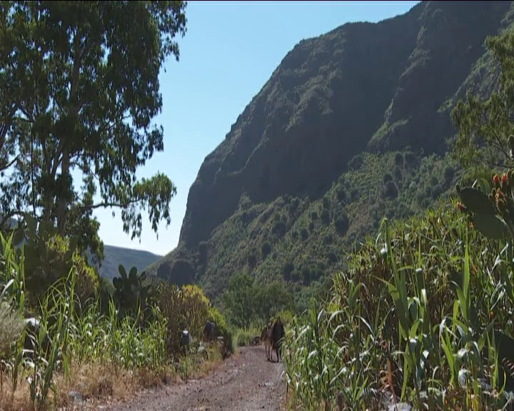 Gran Canaria trabaja en la recuperación de senderos, uno de ellos es el de Las Bestias