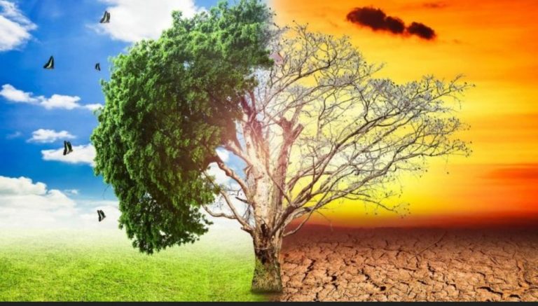 España aprueba su primera Ley climática sin el apoyo de PP, Vox y Más País