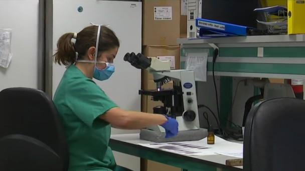 Incidencia covid 19 Canarias