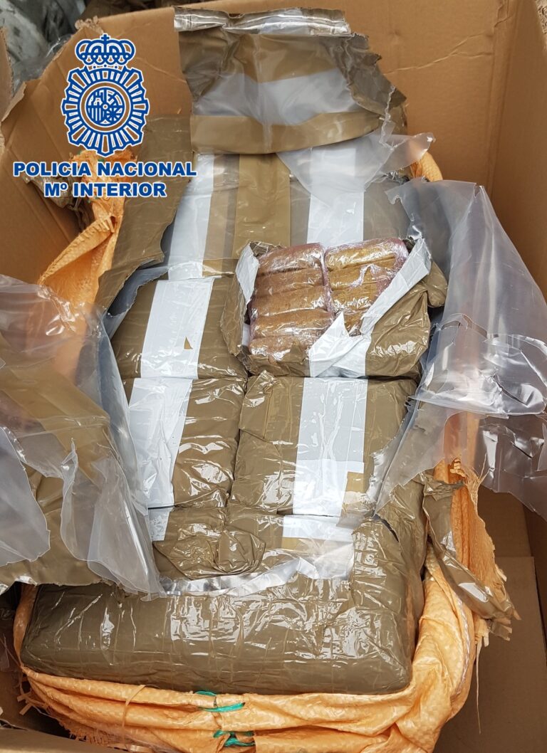 La Policía localiza 300 kilos de hachís en el interior de un furgón en el Puerto de La Luz