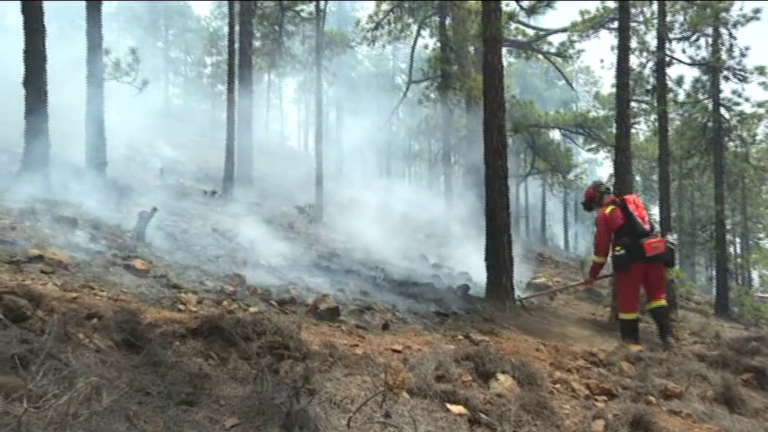 El incendio de Arico se da por controlado y baja a nivel 1