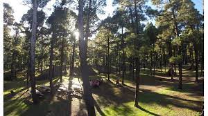 Canarias realizó más de 1.000 inspecciones medioambientales en 2020